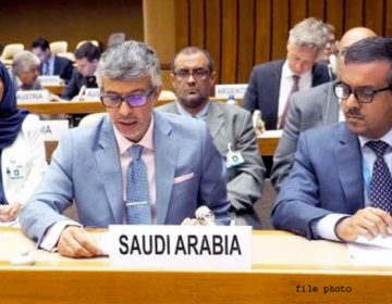 سفیرعبدالعزیز الواصل