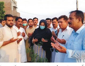 کلین شجر کاری مہم