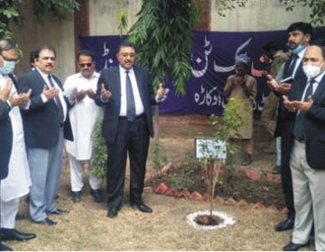 کلین اینڈ گرین مہم