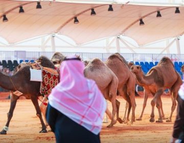اونٹ میلہ