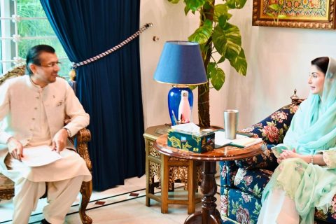 صوبائی مشیر علی مصطفیٰ ڈار