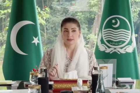 الیکٹروبس